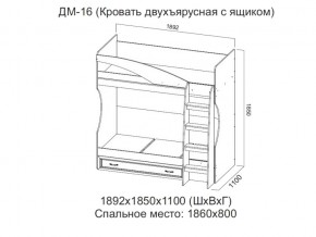 ДМ-16 Кровать двухъярусная с ящиком в Советском - sovetskij.magazin-mebel74.ru | фото