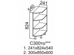 С300то Стол-рабочий 300 (торцевой открытый) в Советском - sovetskij.magazin-mebel74.ru | фото