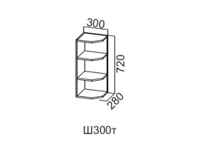 Ш300т/720 Шкаф навесной 300/720 (торцевой) в Советском - sovetskij.magazin-mebel74.ru | фото