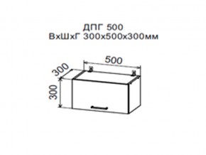 Шкаф верхний ДПГ500 горизонтальный в Советском - sovetskij.magazin-mebel74.ru | фото