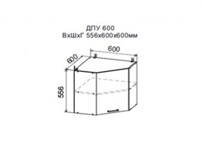 Шкаф верхний ДПУ600 угловой в Советском - sovetskij.magazin-mebel74.ru | фото